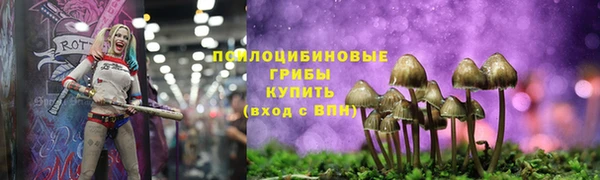 соль курить ск Алзамай